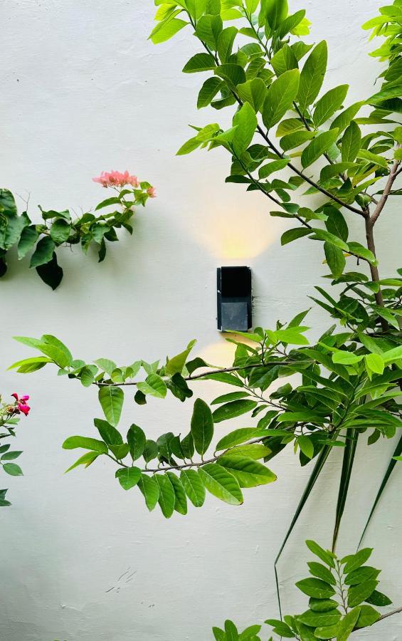 Anandmai Ghar - A Homestay In Gwalior Exterior foto